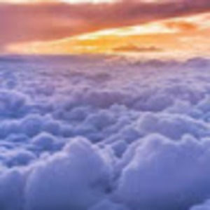 Meet your Posher, Lucy